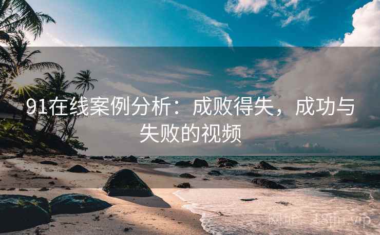91在线案例分析：成败得失，成功与失败的视频